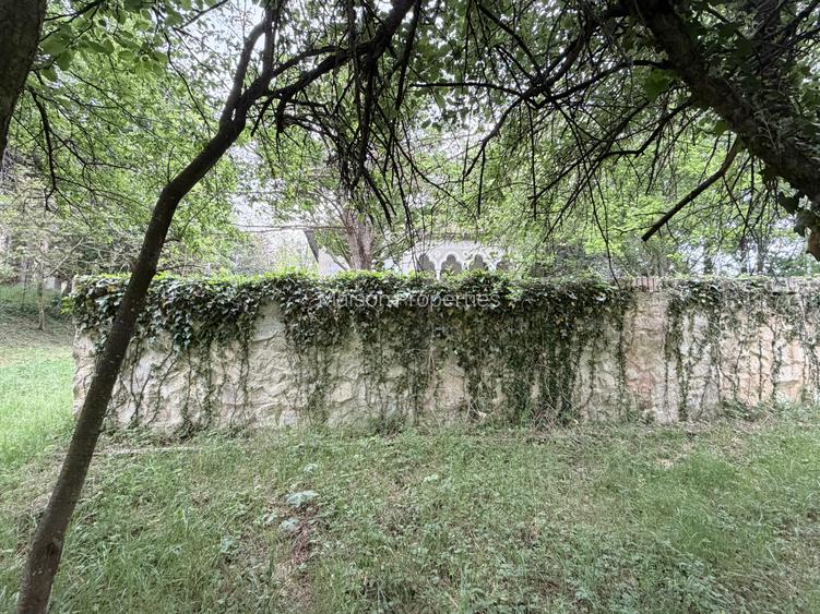COMISION 0% | Casa cu istorie si teren 10.000 mp - 6