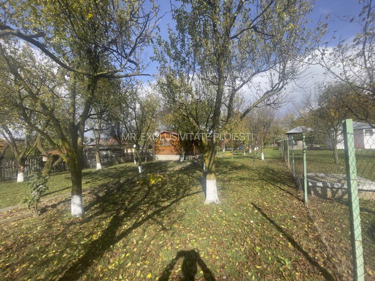 Casute Breaza, teren 1140 mp - 2