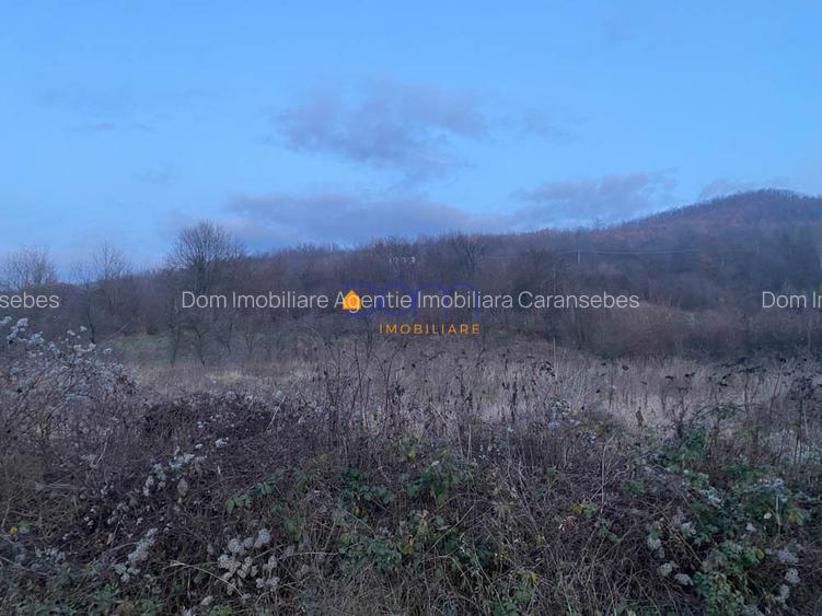 Teren intravilan 4836 mp Mehadia cu Fs la E70 - 6