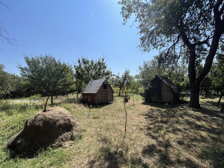 Popas La Doi Brazi - magazine, bar, terasă, casă boierească, grădină și piscină - 18