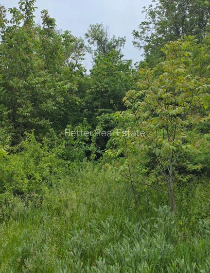 Teren Exclusivist cu deschidere la Lacul Snagov - 7