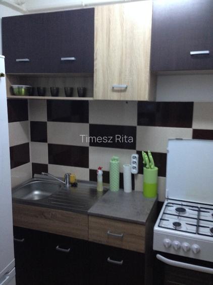 Garsoniera de vanzare-Grigore Balan 25 - 4