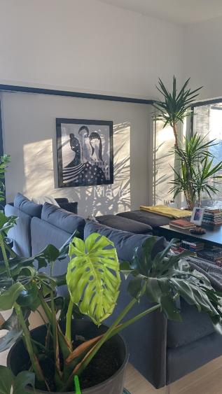 Când visele devin realitate! A ta acum!  - 13