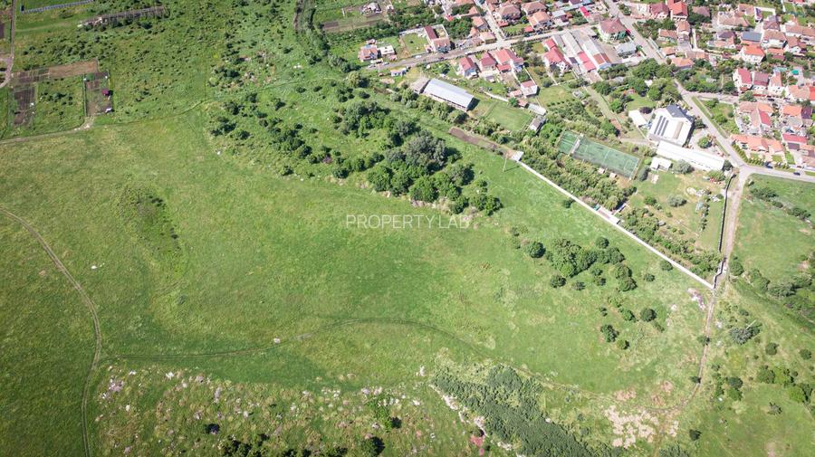 Teren intravilan 20.800 mp, Grădiște - 2