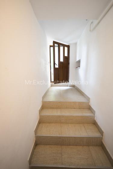 Demisol multifunctional central de inchiriat - zona Piata Mare - 12