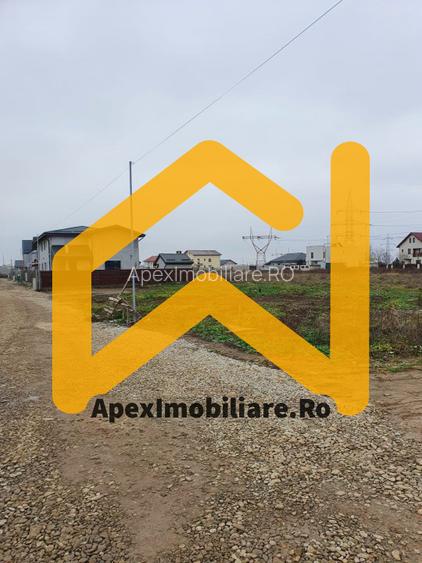 Catelu | Teren 5000MP | Intravilan | 15 Minute Metrou | OPORTUNITATE - 2