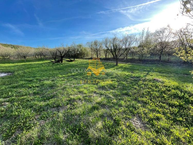 Tren Soporului Intravilan ,5500 MP Utilitati,  Oportunitate - 2