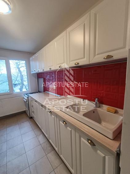 Apartament cu 3 camere, de inchiriat, Piata Marasti, Timisoara - 10