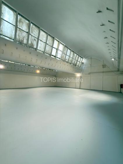 Pantelimon / Republica - Spațiu Industrial / Producție / Depozitare - 6