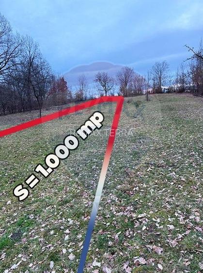 Teren intravilan cu priveliste de vanzare in Rus - 3