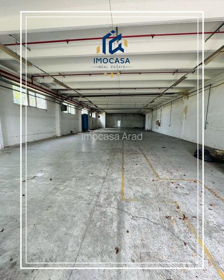 Hala de închiriat 500+500 mp Aradul nou curte comuna păzită - 2