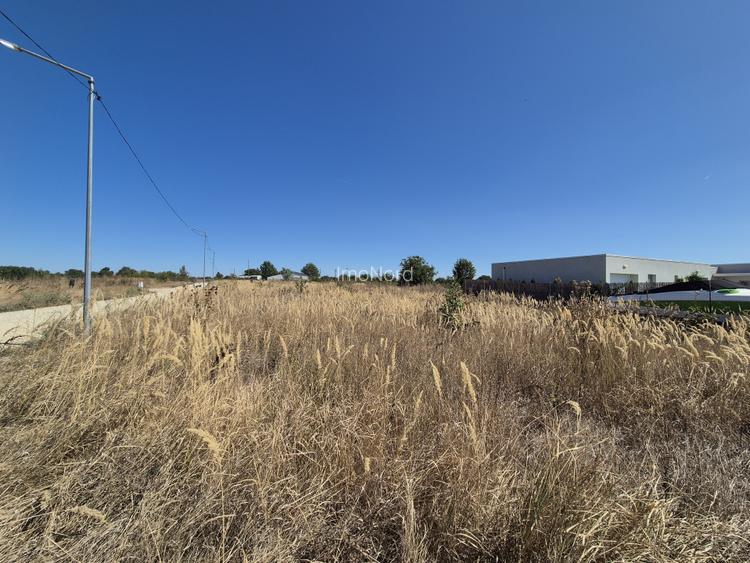 Teren ideal pentru rezidențial – Izvorani, zonă premium lângă lac - 4