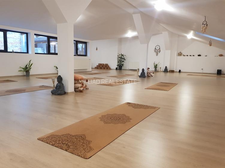 Studio sau birouri mansarda Universitate - strada Sfintilor 6 - 2