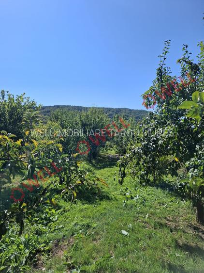 De vânzare casă familială situată în Miercurea Nirajului, zona Sântandrei! - 15