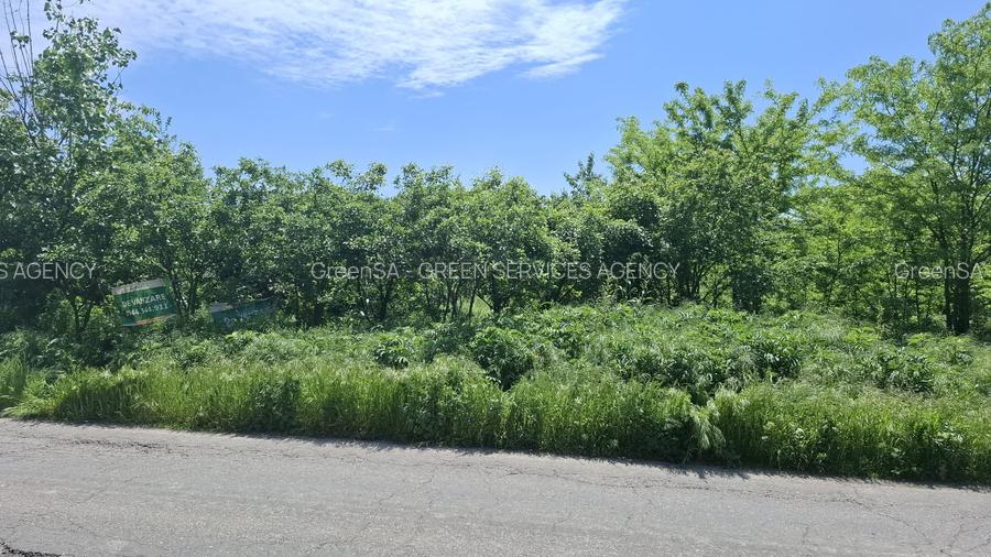 com. Buturugeni, sat Posta, stradal DJ 412A, intravilan, 2720 mp - 9