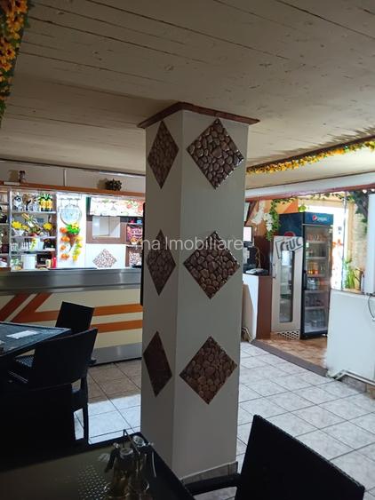 Vand pensiune si hotel la DN7/E81 Pitesti- Rm Valcea, teren 4 ha, 25euro/mp - 14