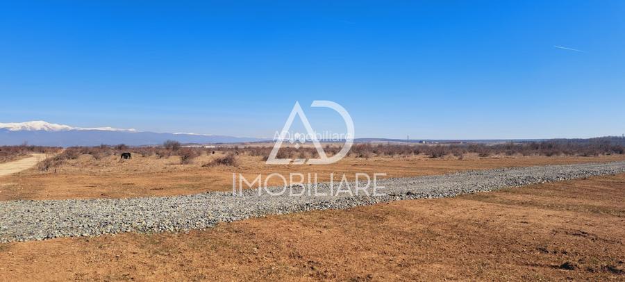 Teren extravilan 300 mp de vanzare  Zona Narciselor Targu Jiu - 9