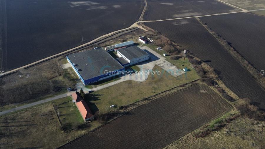 Hala Industriala de vanzare 6500 mp in Madaras la 30 km de Oradea, Bihor - 4