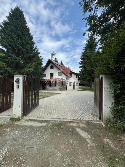 Pensiune/ Vila Valea Avrigului - 6