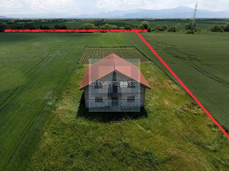 Teren intravilan 50000 mp, cu PUZ, Aprobat - zona Halchiu/Codlea - 6