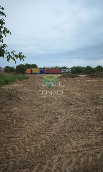 Teren zona Aeroport Otopeni pretabil hala, parcare, logistica - 4