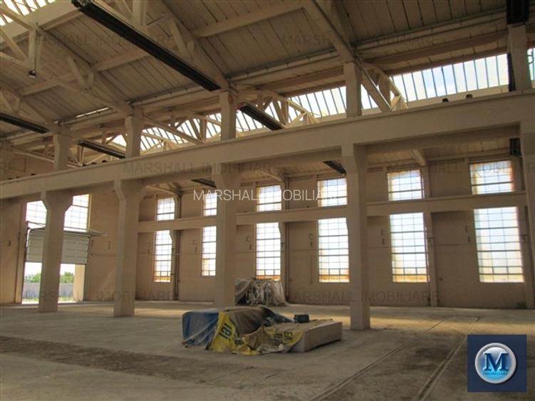 Spatiu industrial de inchiriat in Boldesti-Scaeni, zona Sud, 1948 mp #10186 - 2