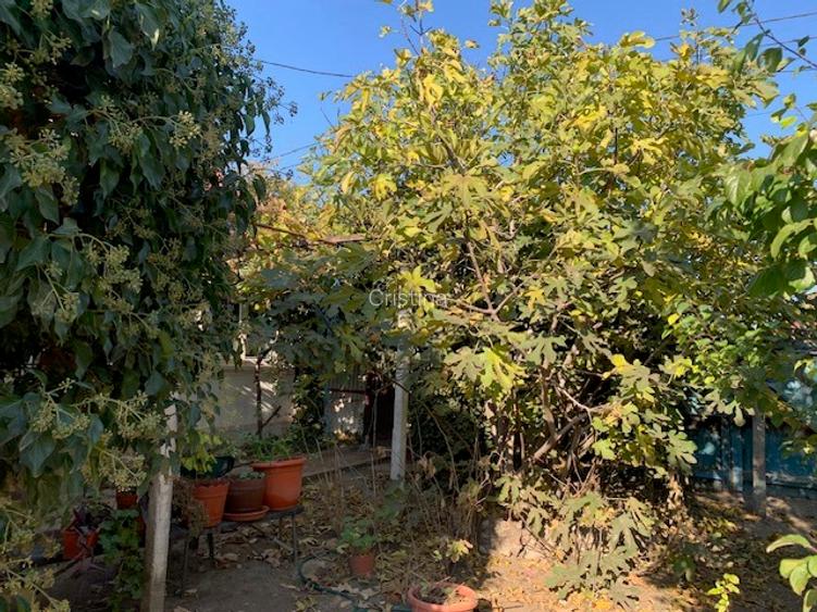 Jurilovca, de vânzare casa de vacanță  - 4