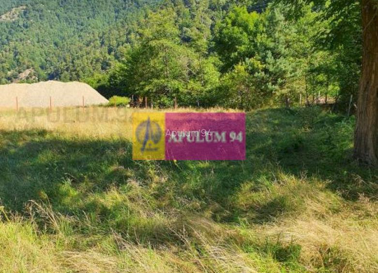 Teren Județul Vâlcea - Brezoi, Valea lui Stan - 27