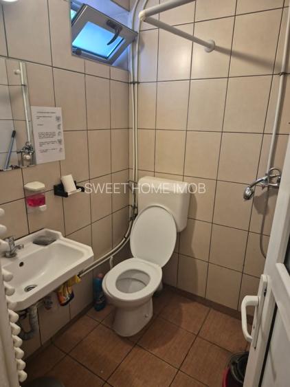 Tei inchiriere sau vanzare spatiu comercial Ramuri Tei - Titeica - 5