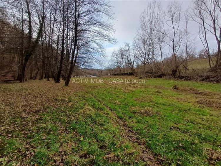 Resita, Teren Drept Intravilan, Langa Prau si Drum, Parcelabil, 4500 Mp., 15 Eur - 5