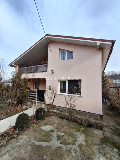CASA INDIVIDUALA  in sat VLADICENI com. TOMESTI - 2