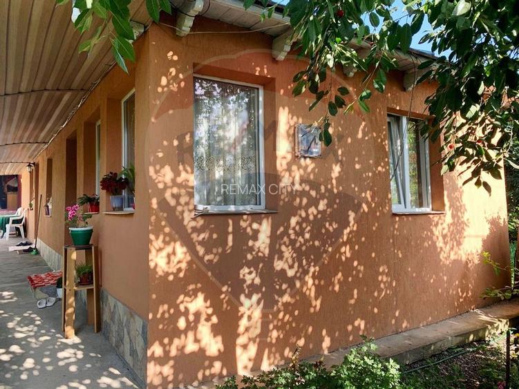 Casuta de la tara - 8