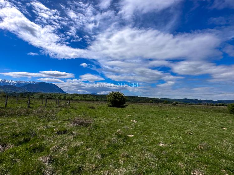 Teren Bran Zarnesti 3 km Castelul Bran 25 km Brasov - 13