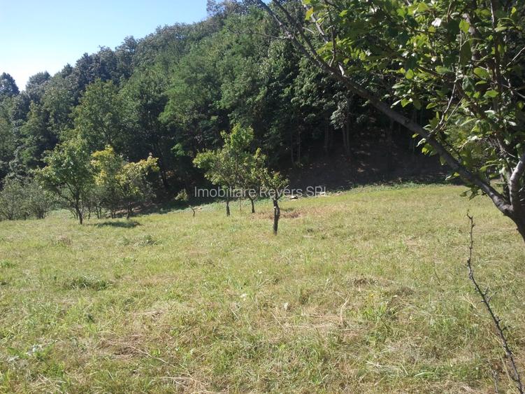 Teren livadă cu panoramă superbă Dealul Malului pentru casă sau cabană - 12