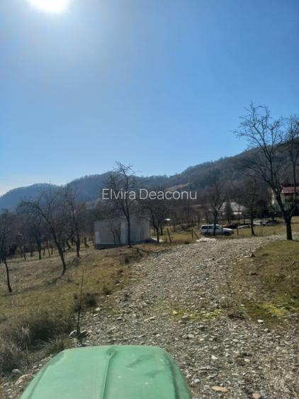 Vind teren intravilan in com .Corbi  sat Poinarei  jud.Arges, - 5