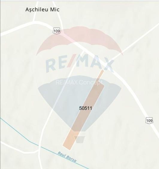 Teren 3200 mp I intravilan I Certificat Urbanism I Aschileu Mic - 3