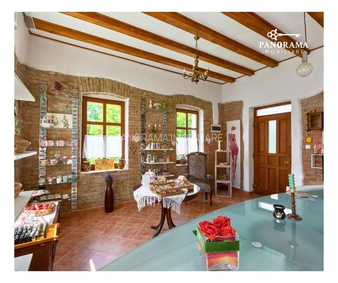 Proprietate cu farmec istoric și potențial turistic in Saschiz - 6