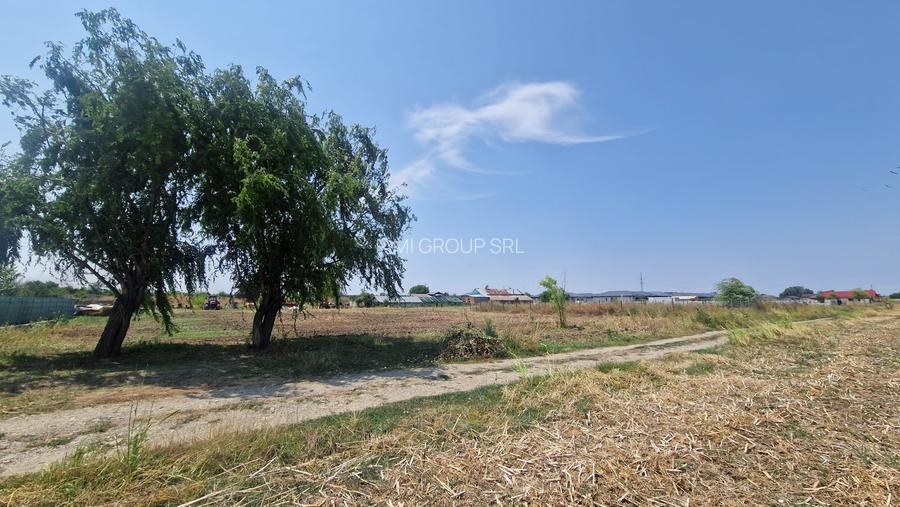 Teren perfect pentru CASA - 550 MP COMUNA 1 DECEMBRIE, ILFOV - 2