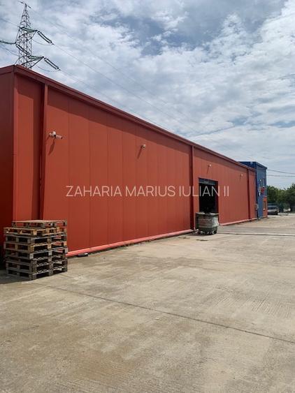 Hala de vanzare, an 2008, zona industriala Bacau - 4