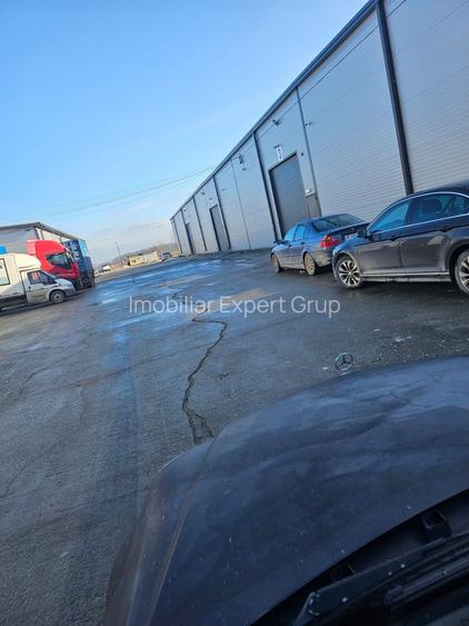 Hala 590 mp Afumati- Doraly - 4