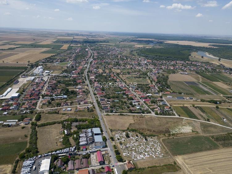 Teren intravilan 6.005 mp in Zădăreni - 17