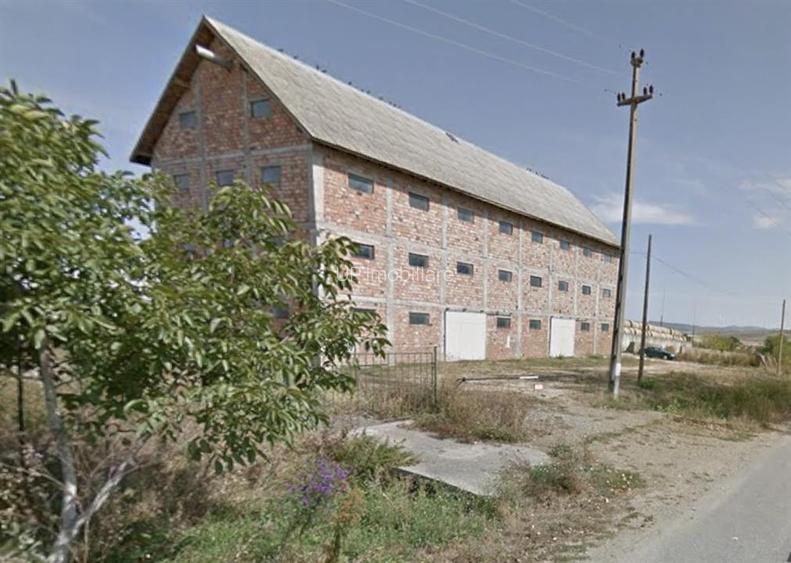 CLADIRE INDUSTRIALA PENTRU CEREALE | MAERISTE | SALAJ  |  3.000 TEREN - 2