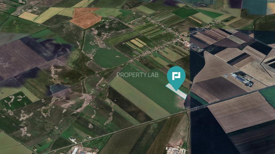 Teren extravilan de 22500 mp în Variașul Mare - 4