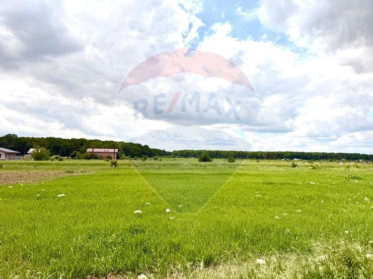 DE VANZARE Casa 3 camere/ teren 550 mp Cosoba / Giurgiu - 42