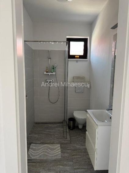Proprietar, vand vila in Tunari, cartierul scriitorilor, in duplex - 10