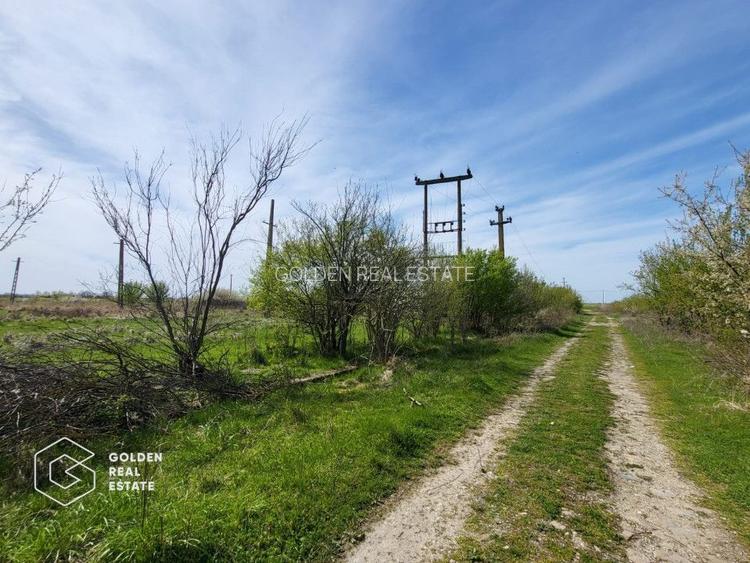 Teren extravilan, 22.5 ha, comuna Maureni - 3