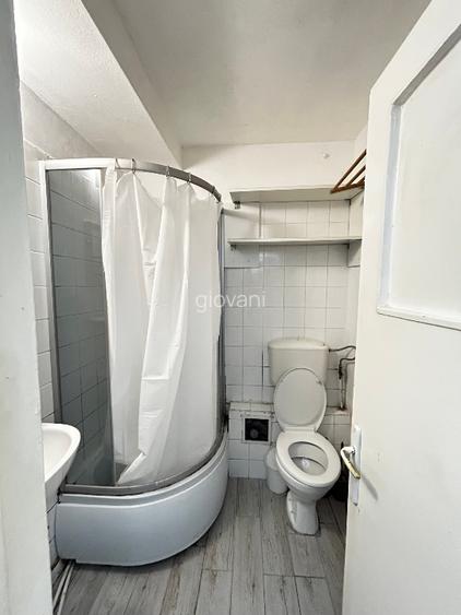 Lacul Tei -Teiul Doamnei Facultatea de Constructii  - 11