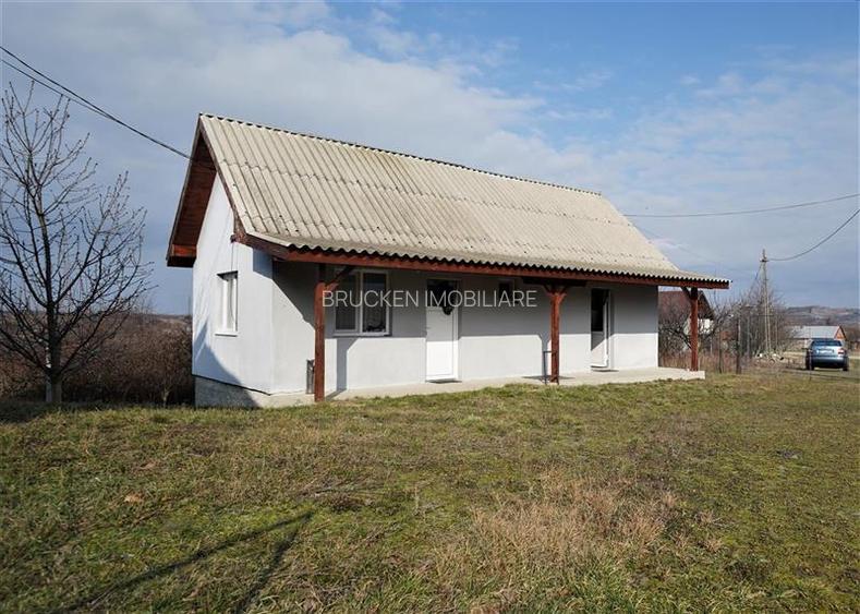 MICRO-FERMA + CASA IN VOIVOZI - BIHOR - 2
