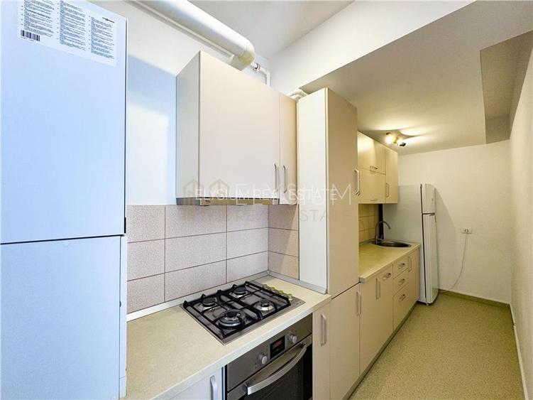 Apartament de inchiriat 2 camere Herastrau - 12