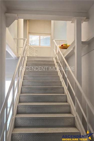 Hala multifunctionala de vanzare, Prejmer, Brasov - 4